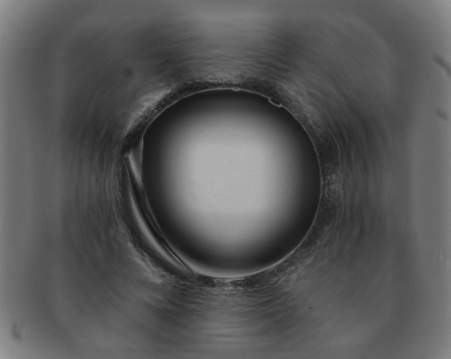 X0000091360688200708241311