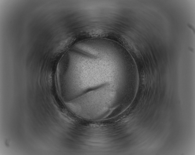 X0000091360690200708241311