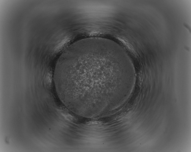 X0000091360691200708241311