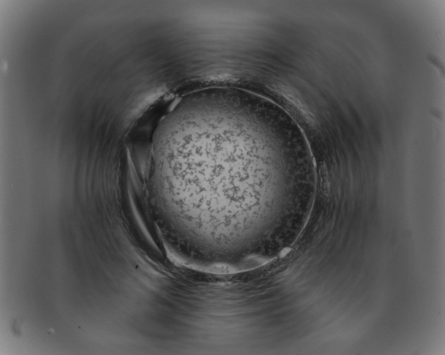 X0000091360692200708241311