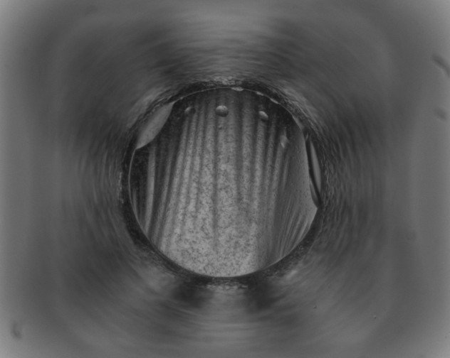 X0000091360693200708241311