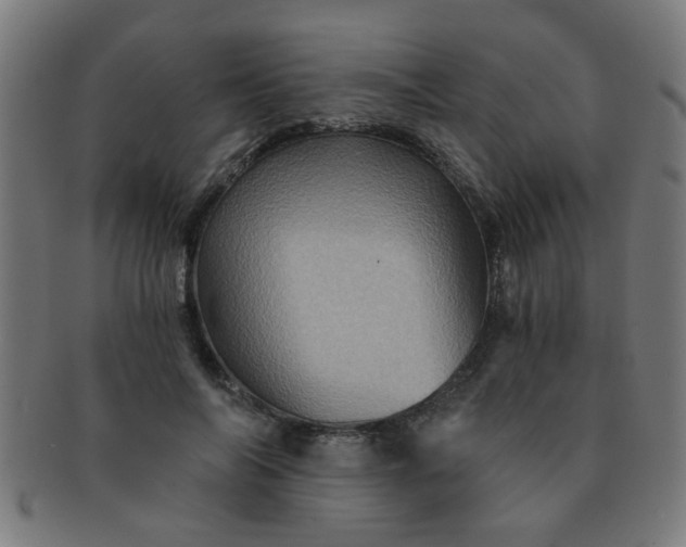 X0000091360694200708241311