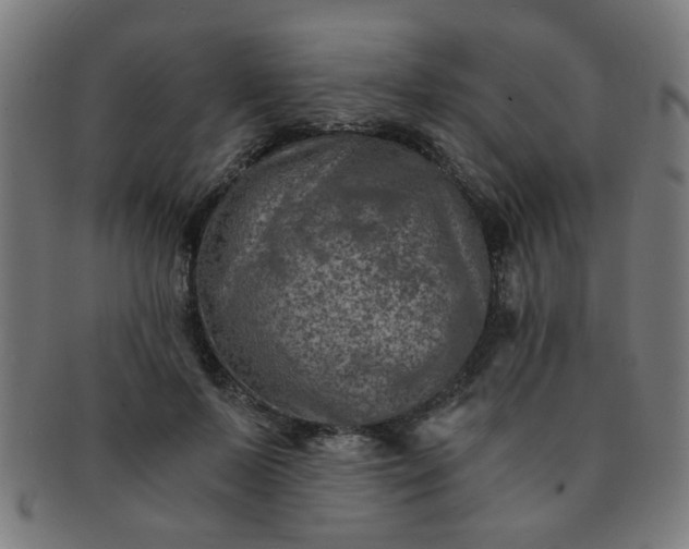 X0000091360695200708241311