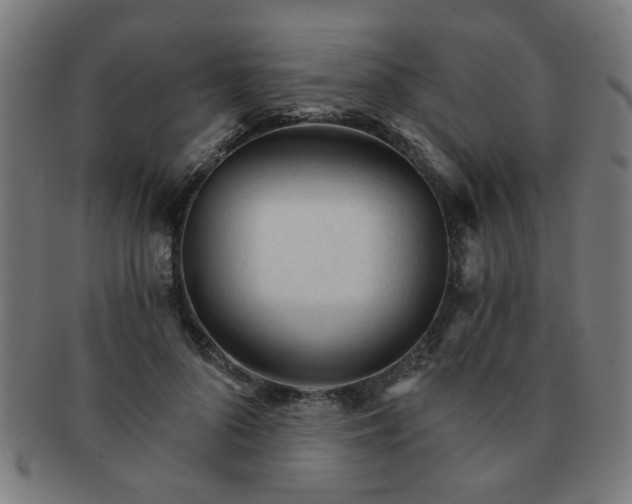 X0000091360696200708241311
