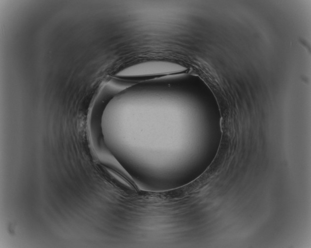 X0000091360697200708241311