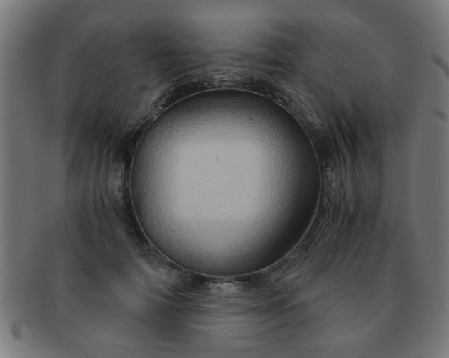 X0000091360698200708241311