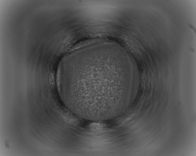 X0000091360699200708241311