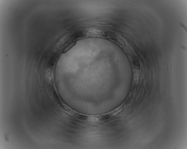 X0000091360701200708241310