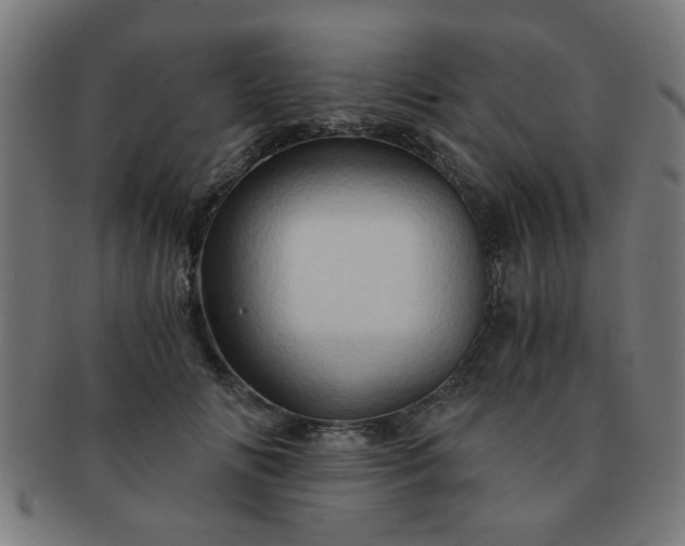 X0000091360702200708241310