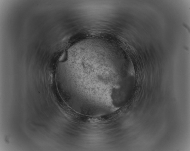 X0000091360703200708241310