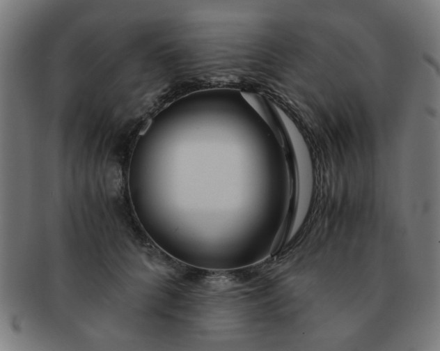 X0000091360704200708241310