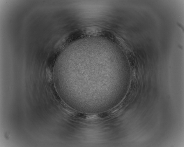 X0000091360705200708241310