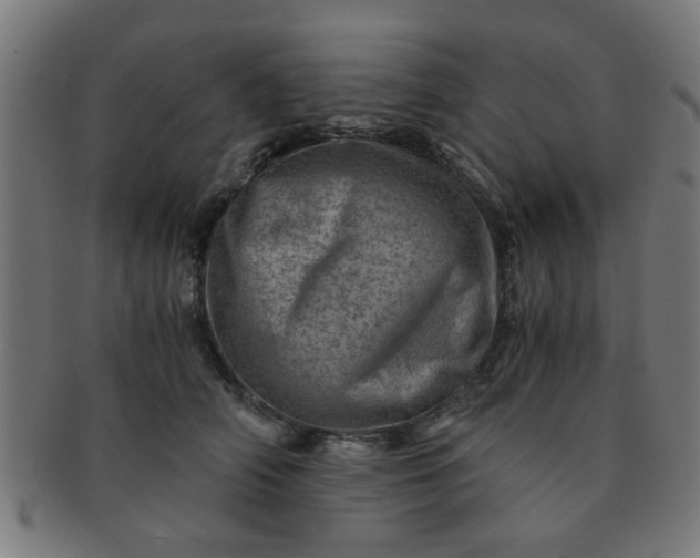 X0000091360706200708241310