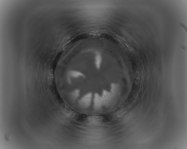 X0000091360707200708241310