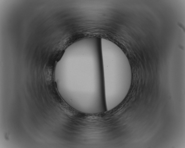 X0000091360708200708241310