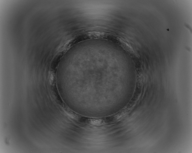 X0000091360709200708241310