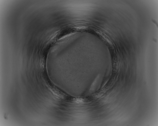 X0000091360710200708241310