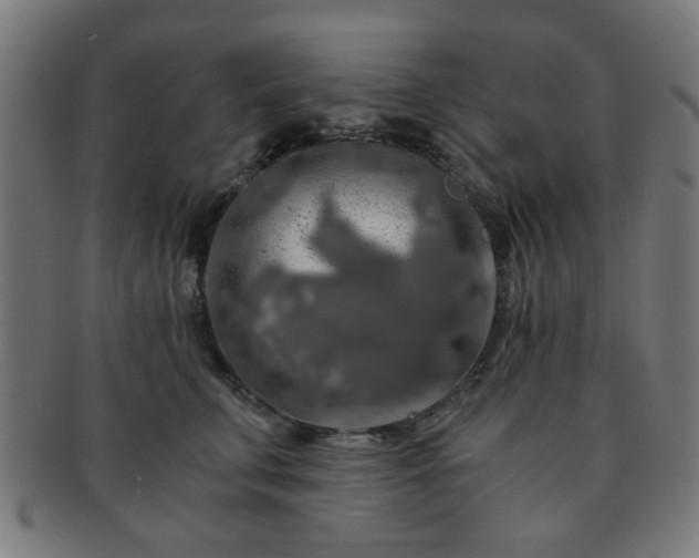 X0000091360711200708241310