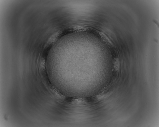 X0000091360713200708241310