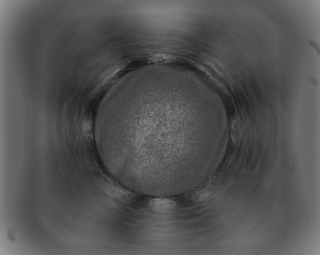 X0000091360714200708241310
