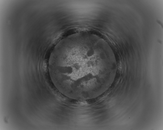 X0000091360715200708241310