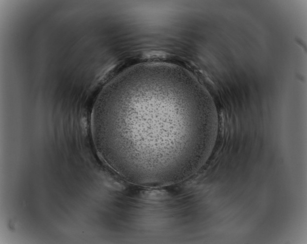 X0000091360716200708241310