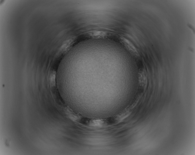 X0000091360717200708241310