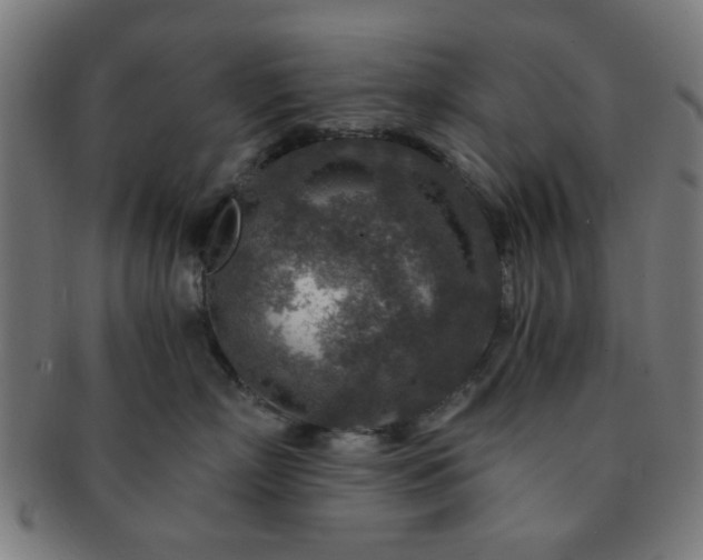 X0000091360718200708241310