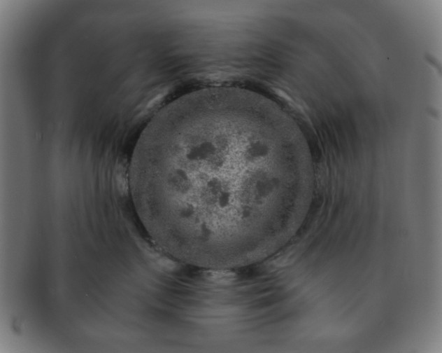 X0000091360719200708241310