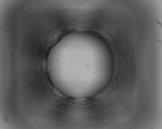 X0000091360720200708241310