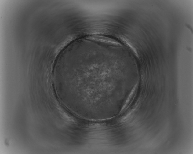 X0000091360721200708241309