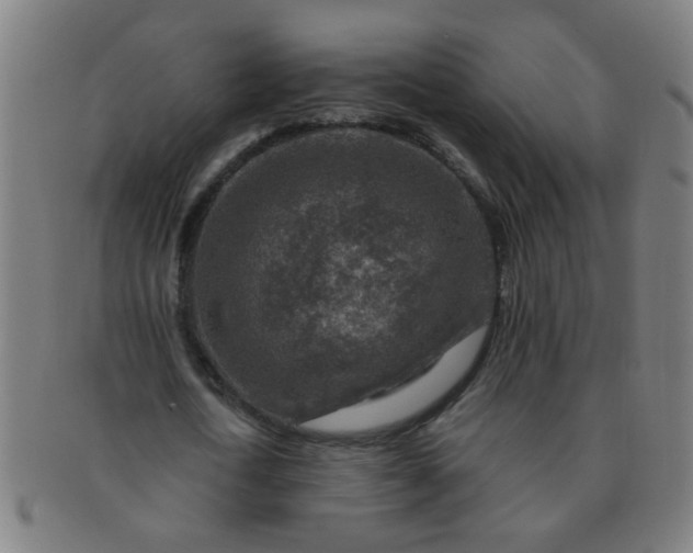 X0000091360722200708241309