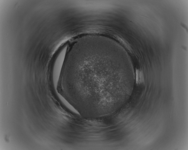 X0000091360723200708241309