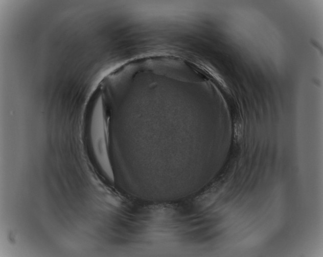 X0000091360724200708241309