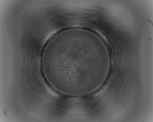 X0000091360725200708241309