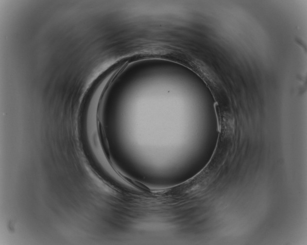 X0000091360726200708241309