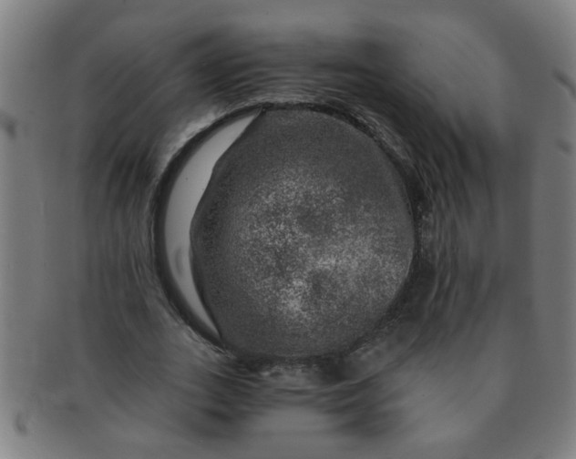 X0000091360727200708241309