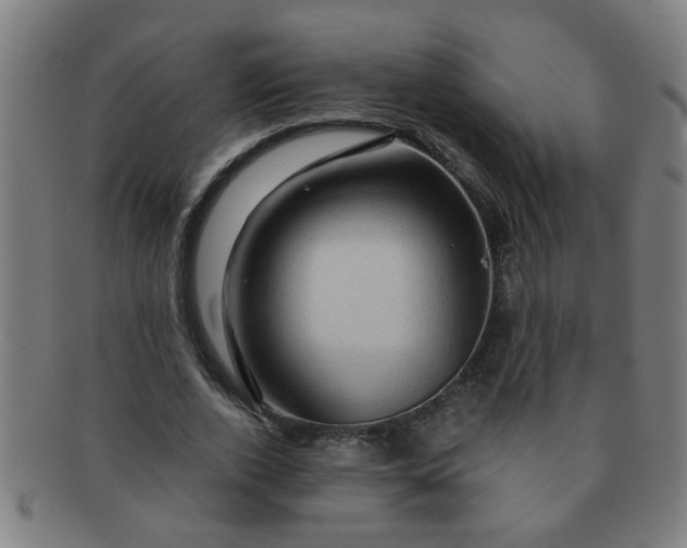 X0000091360728200708241309