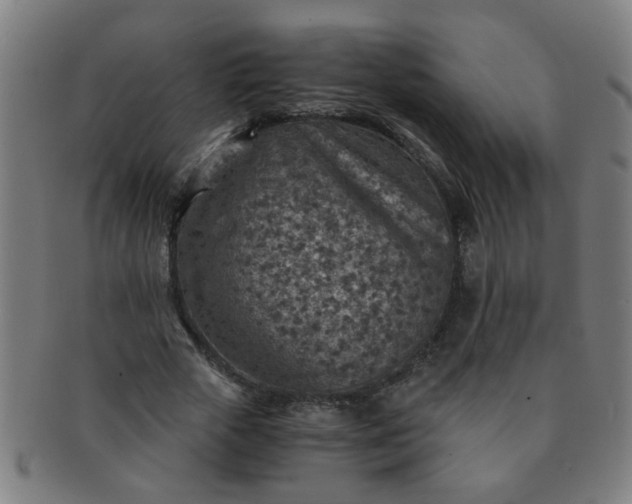 X0000091360729200708241309