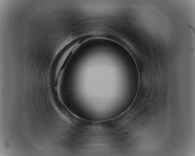 X0000091360730200708241310