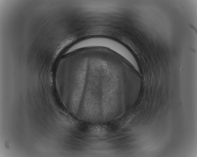 X0000091360731200708241310