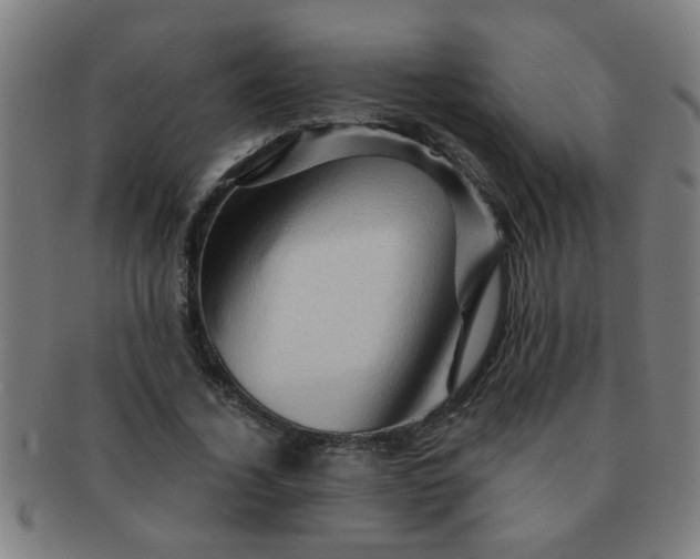 X0000091360732200708241310