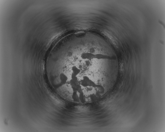 X0000091360733200708241310