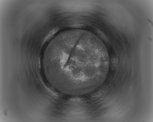X0000091360734200708241310