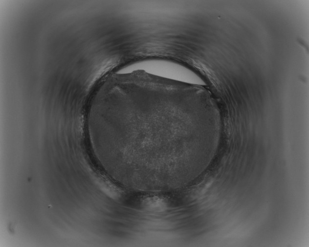 X0000091360735200708241310