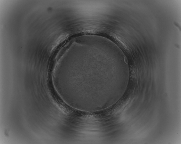 X0000091360738200708241310