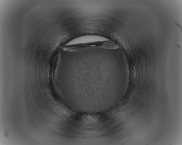 X0000091360739200708241310