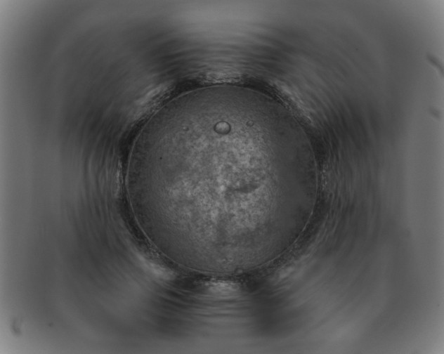 X0000091360741200708241310