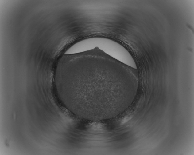 X0000091360742200708241310