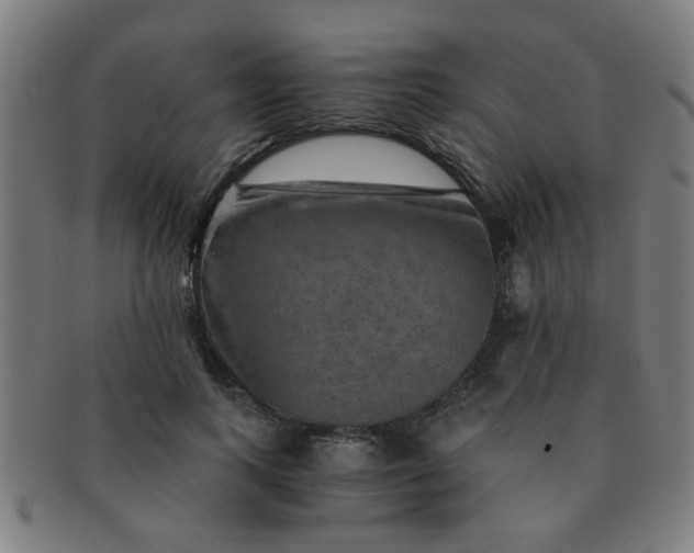 X0000091360743200708241310